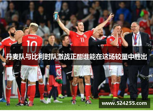 丹麦队与比利时队激战正酣谁能在这场较量中胜出